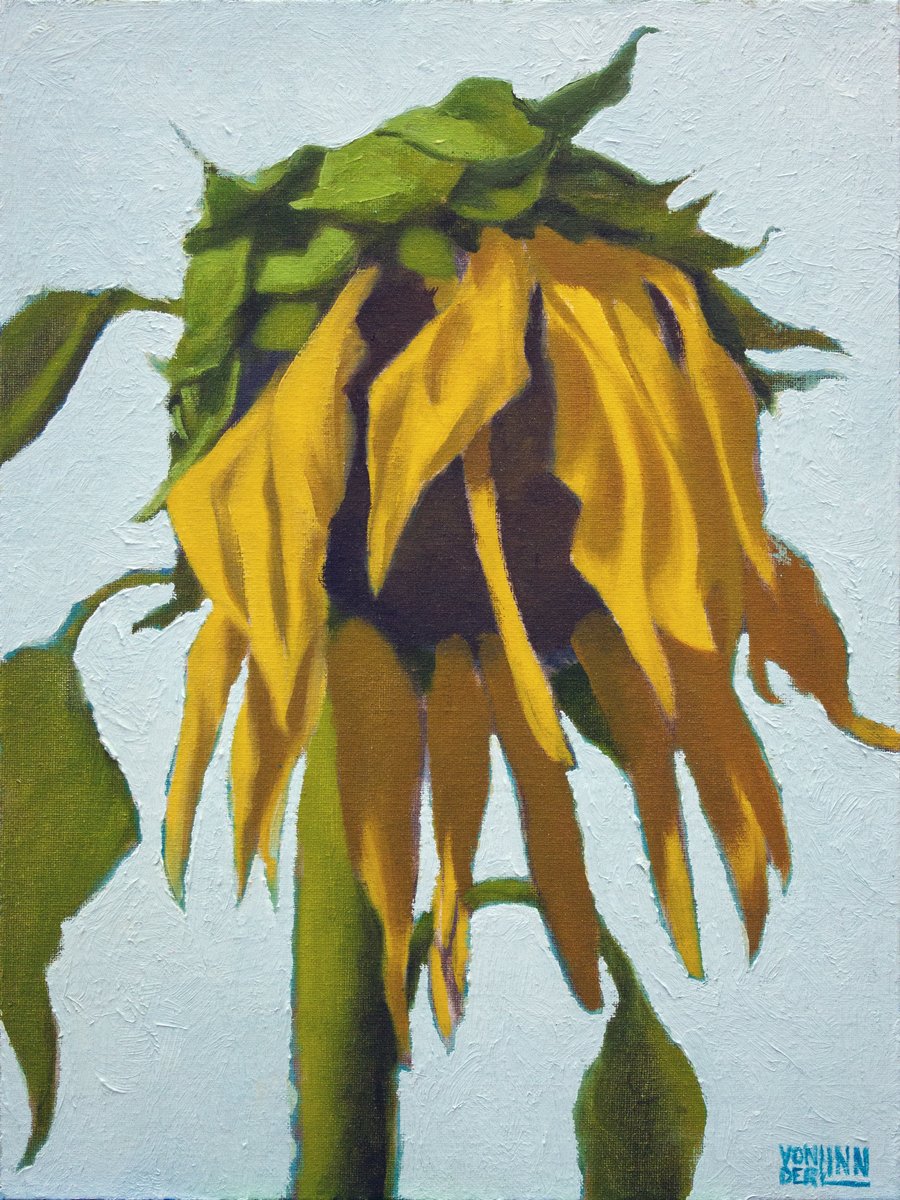 Sunflower No. 4