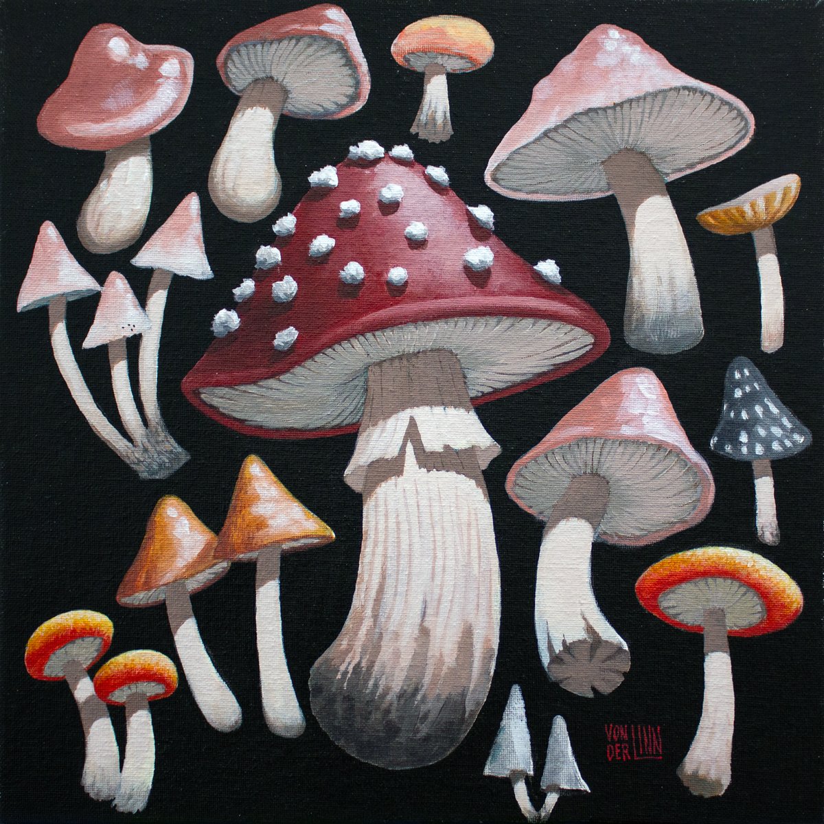 Mushroom Specimens No. 1