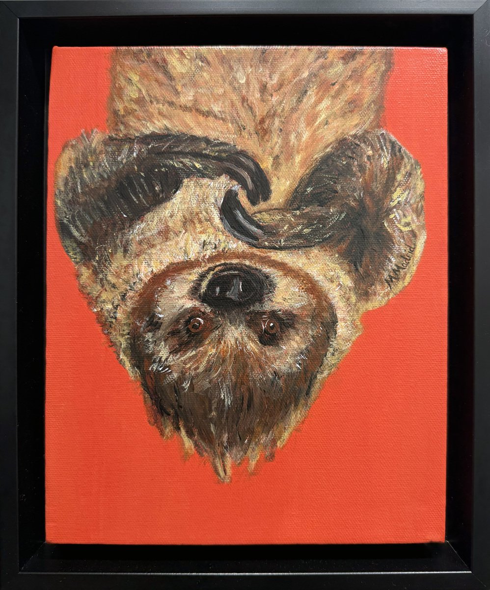 Upside-Down Sloth