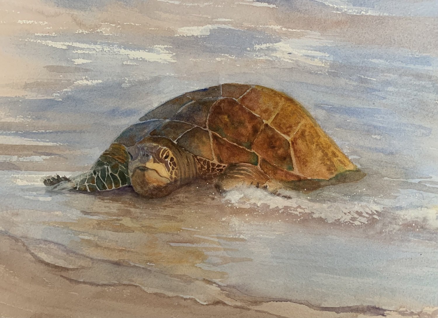 Resting Ashore