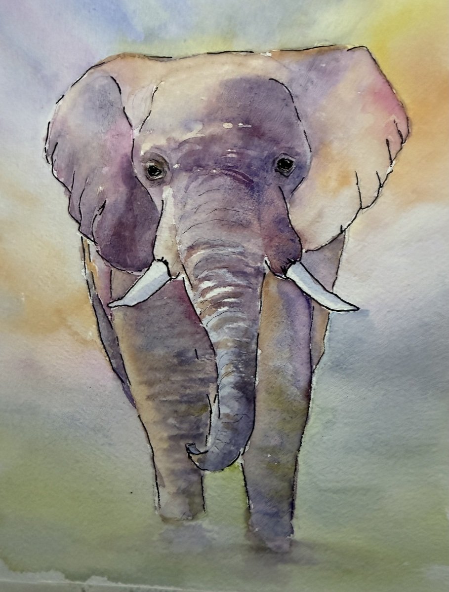 My Unforgettable Elephant