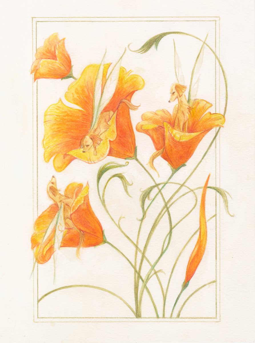 Golden Poppies