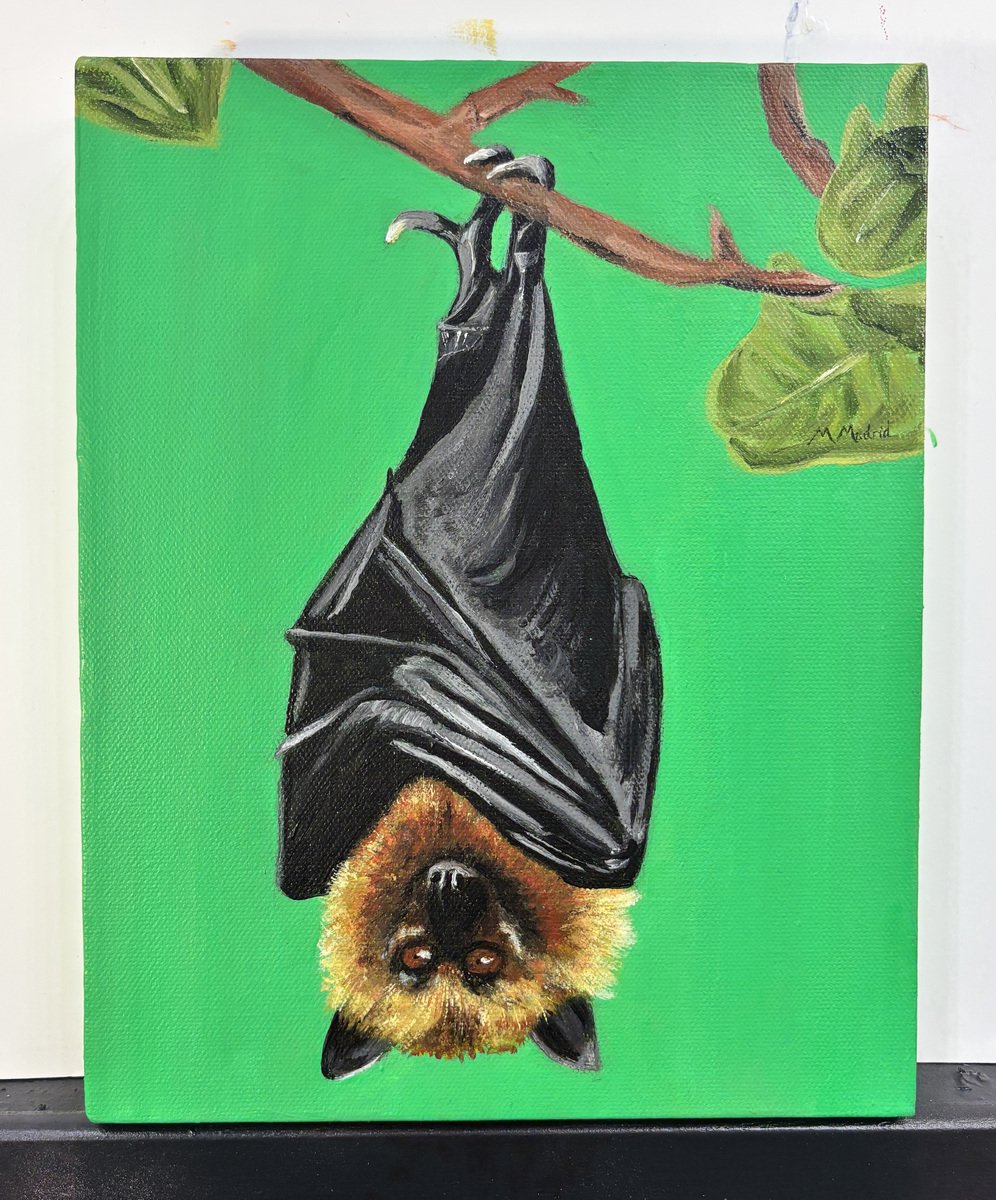 Hanging Bat