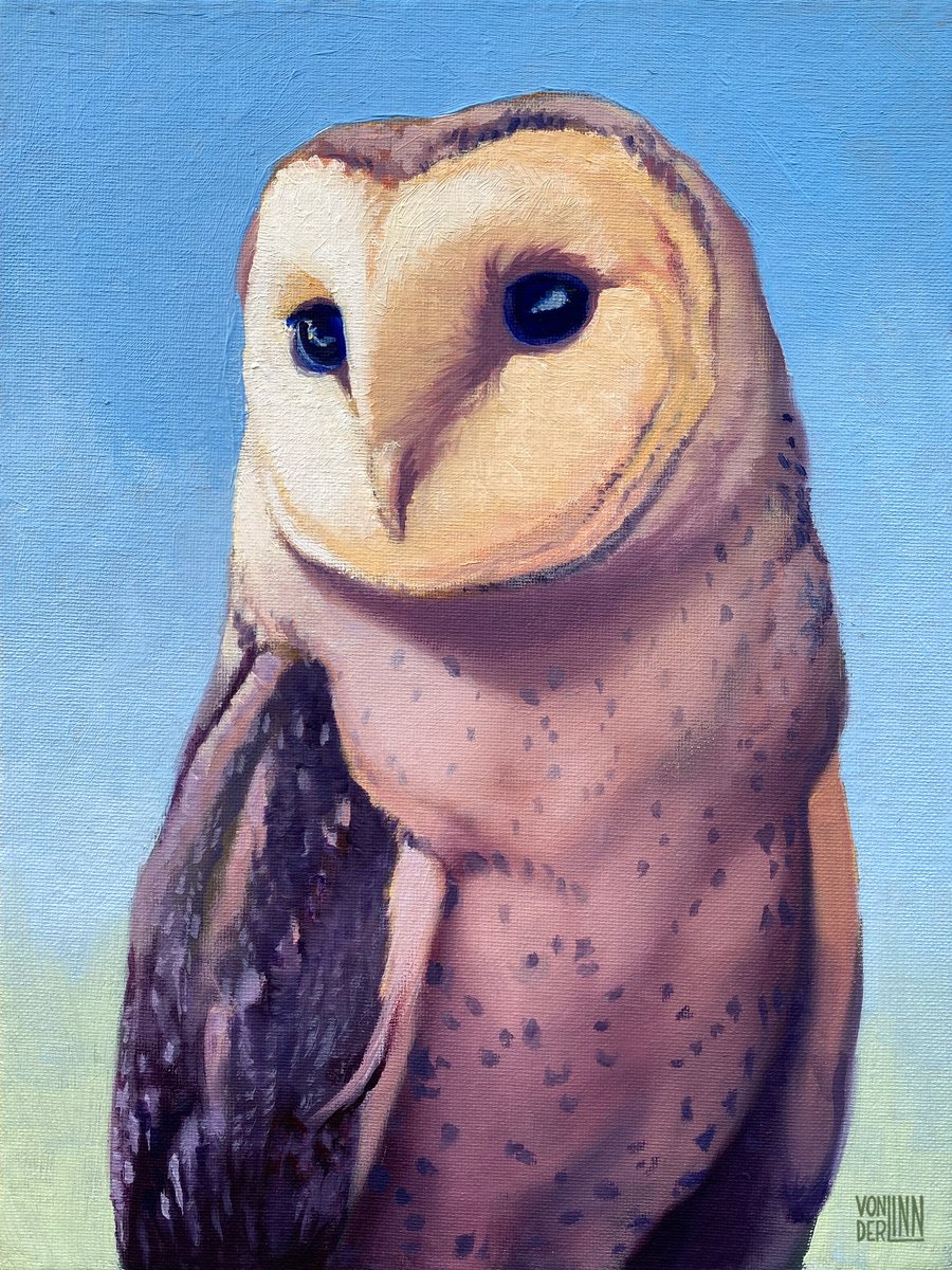 Owl No. 9