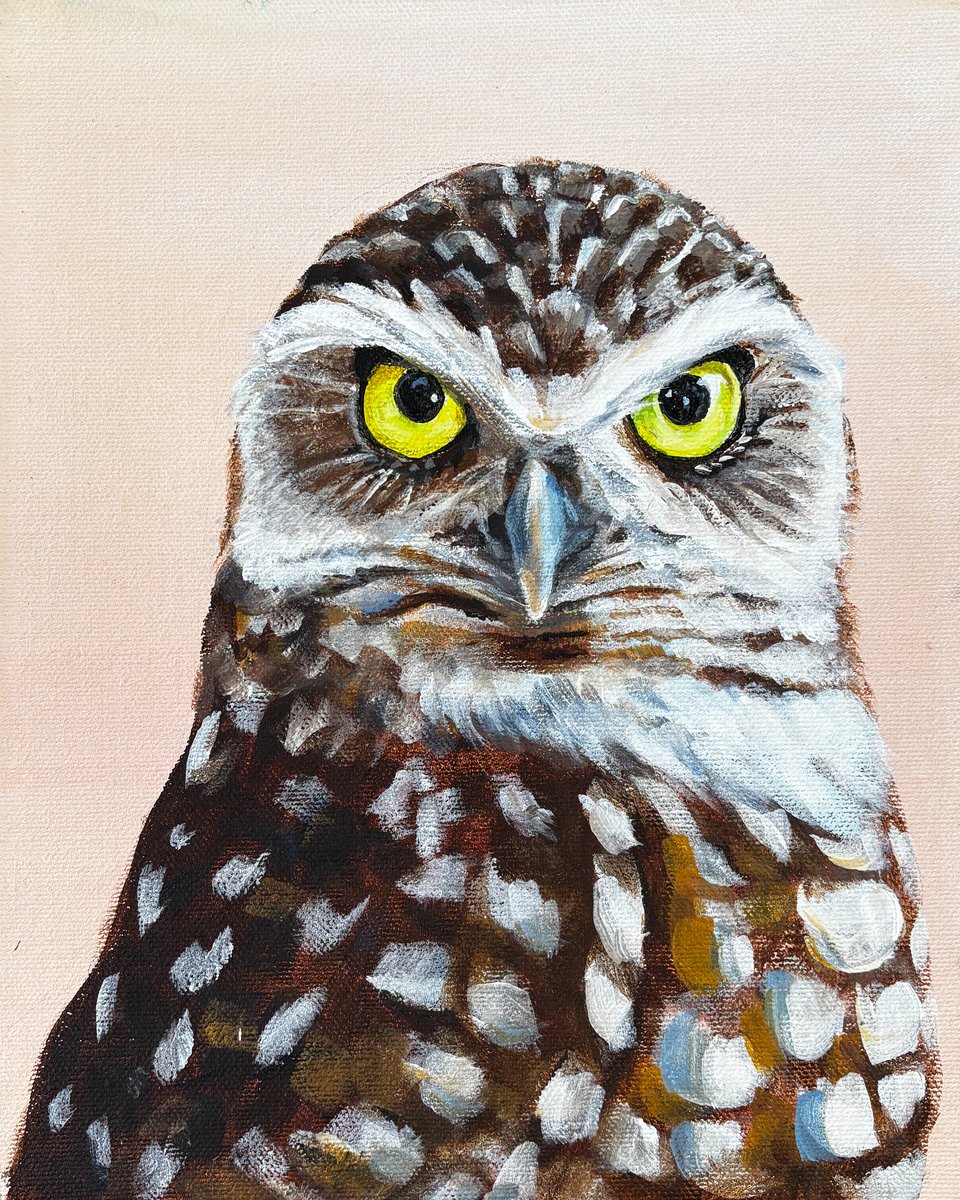 Burrowing Owl