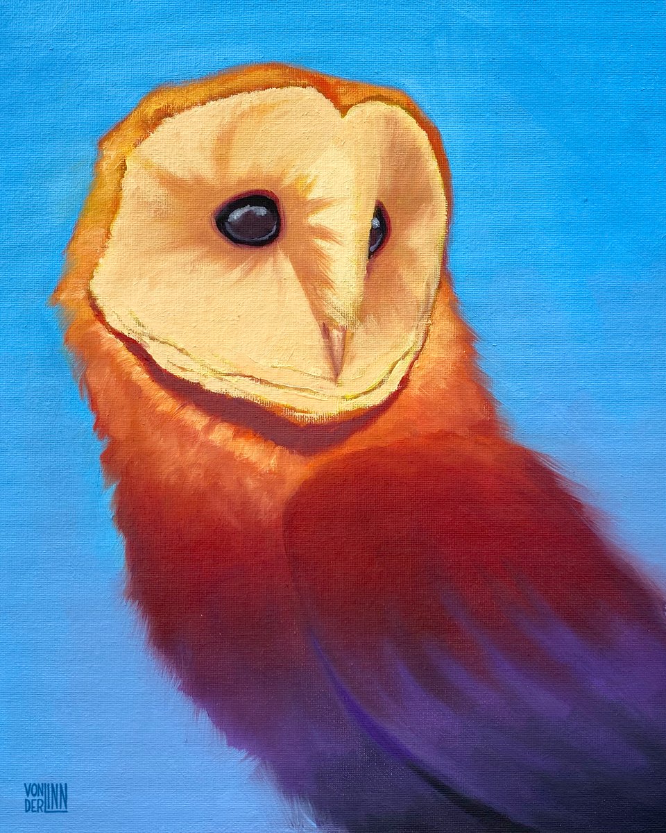 Owl No. 7